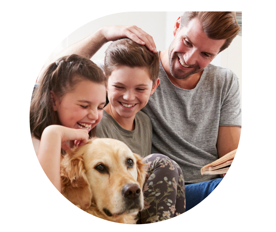 Eco friendly house cleaning San Francisco family home interior
