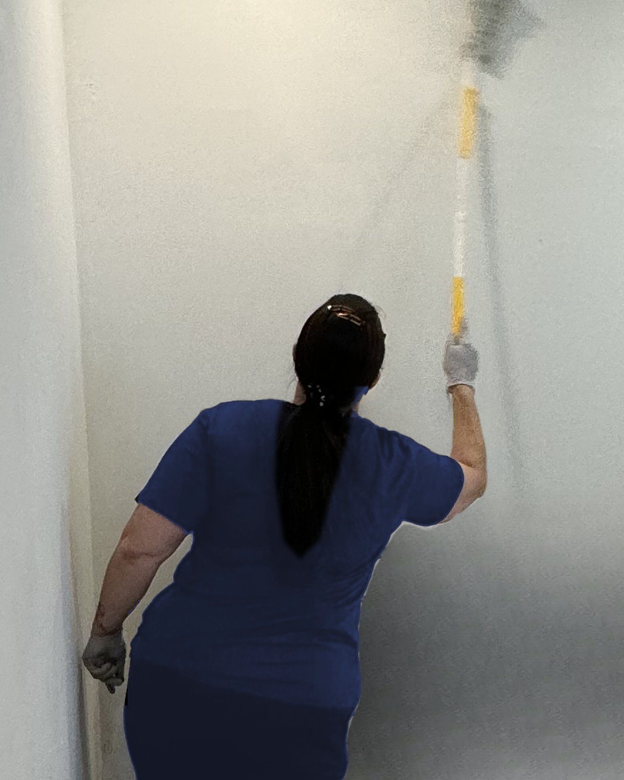 Royal Glow cleaner dusting high walls and ceiling corners with an extension duster