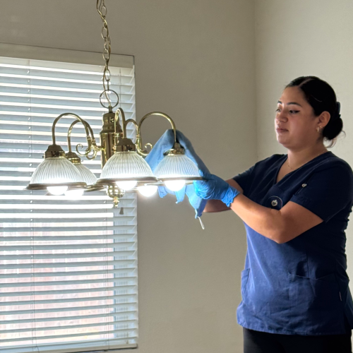 Detailed professional house cleaning work in Bay Area residences